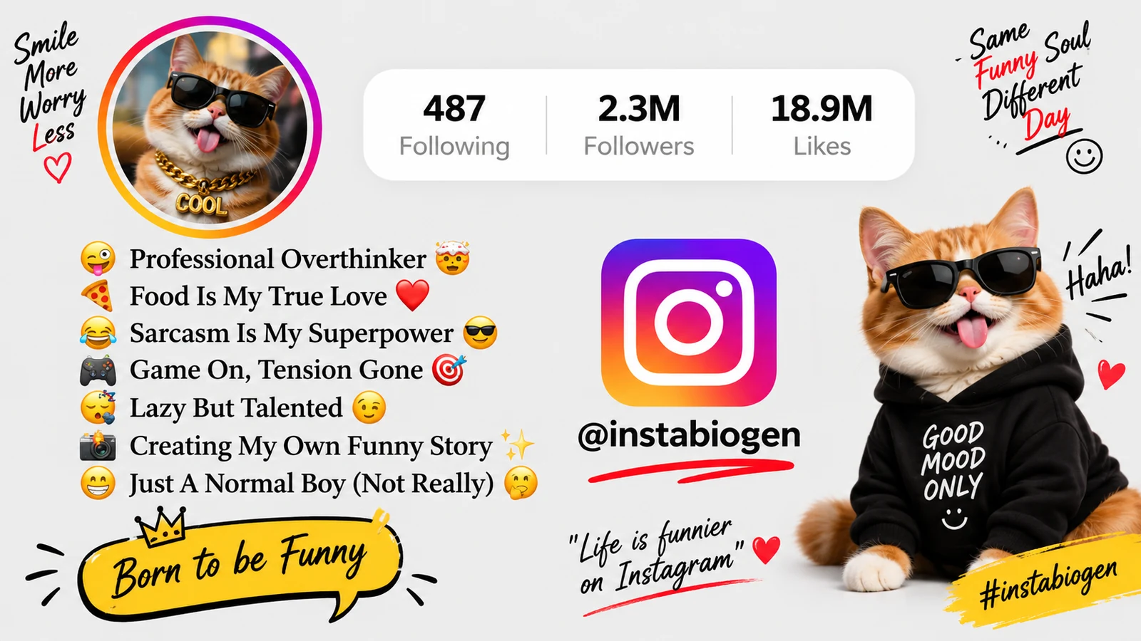 Best Funny Bio For Instagram